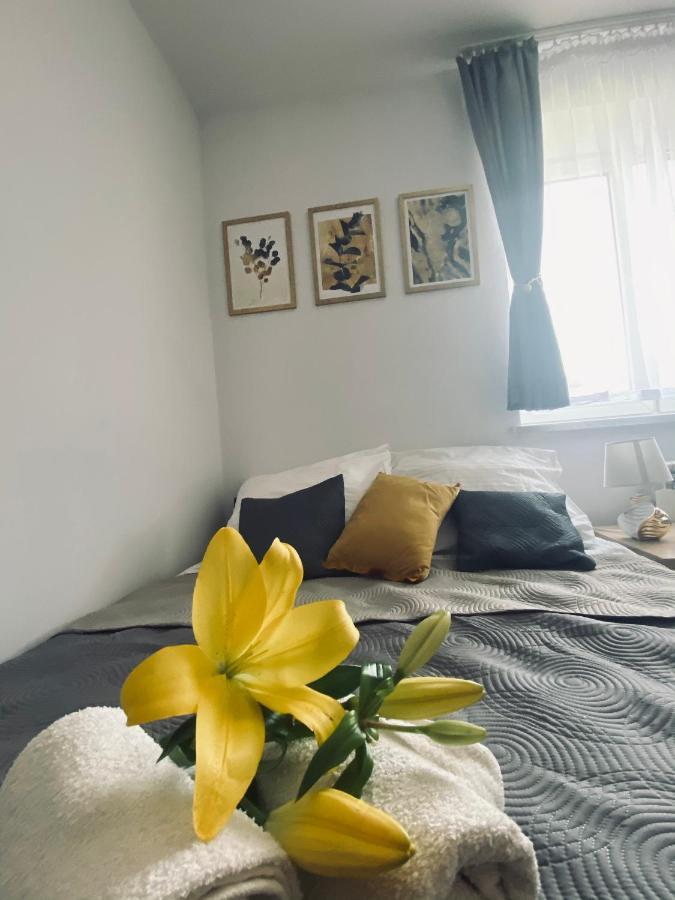 Apartamenty Majka Zator Exteriör bild